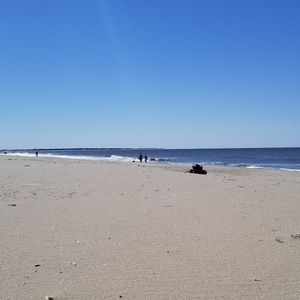 Meet your Posher, Michele